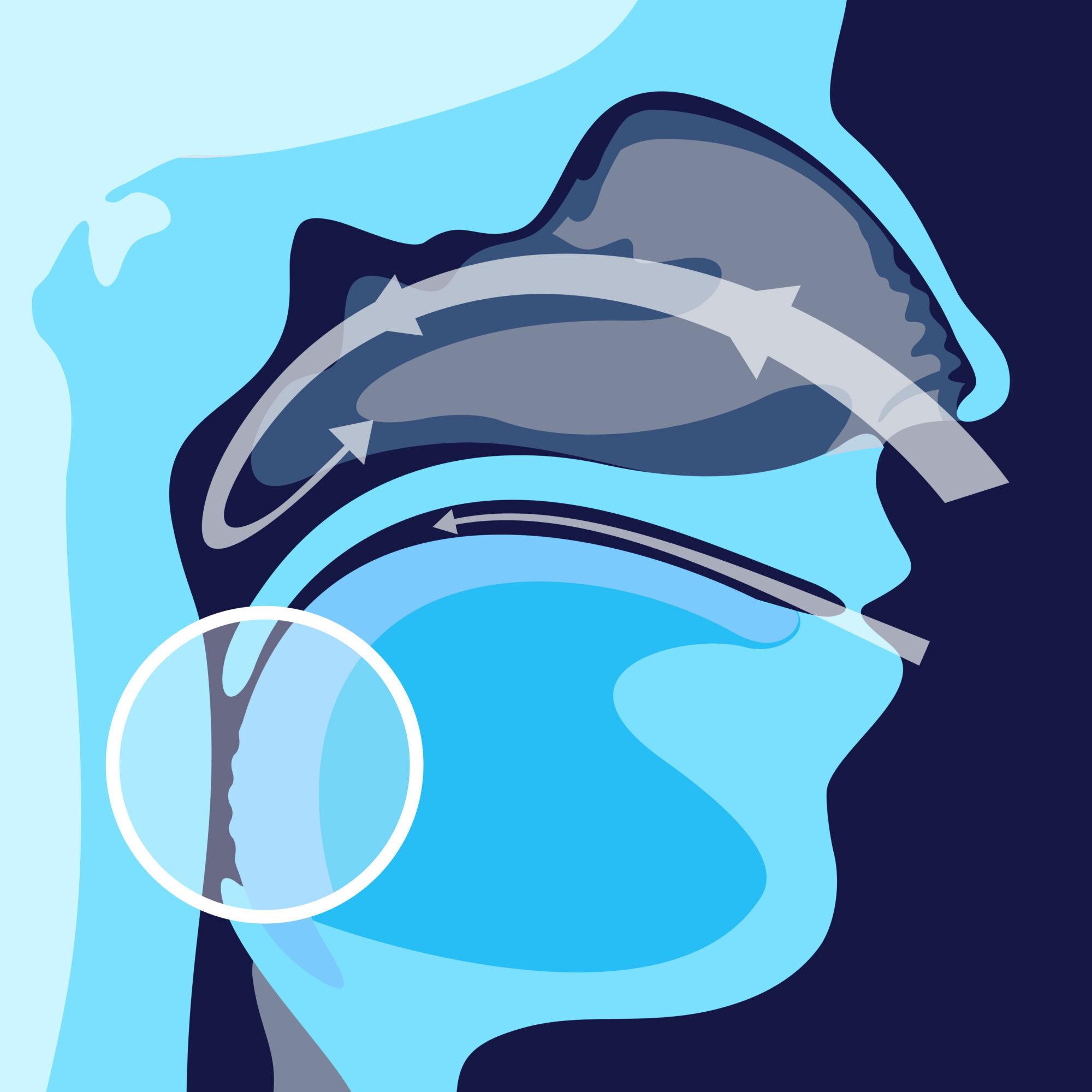2026-03-25_Hoffman Ortho_Create X-Ray Photo_CF
